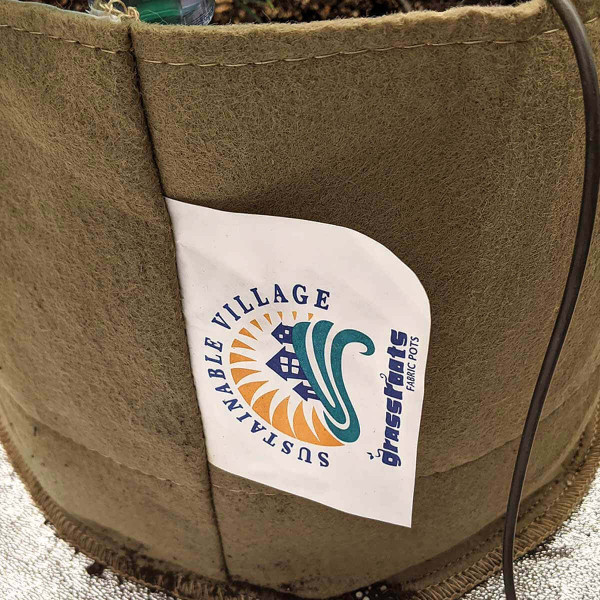 7 Gallon Grassroots Living Soil Pot 2